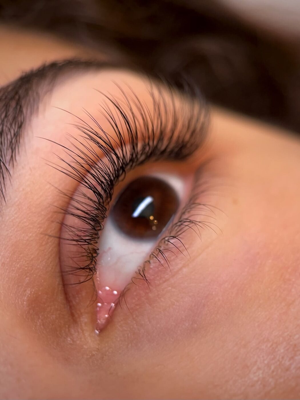 Lashes & Brows — Adore Beauty Lounge