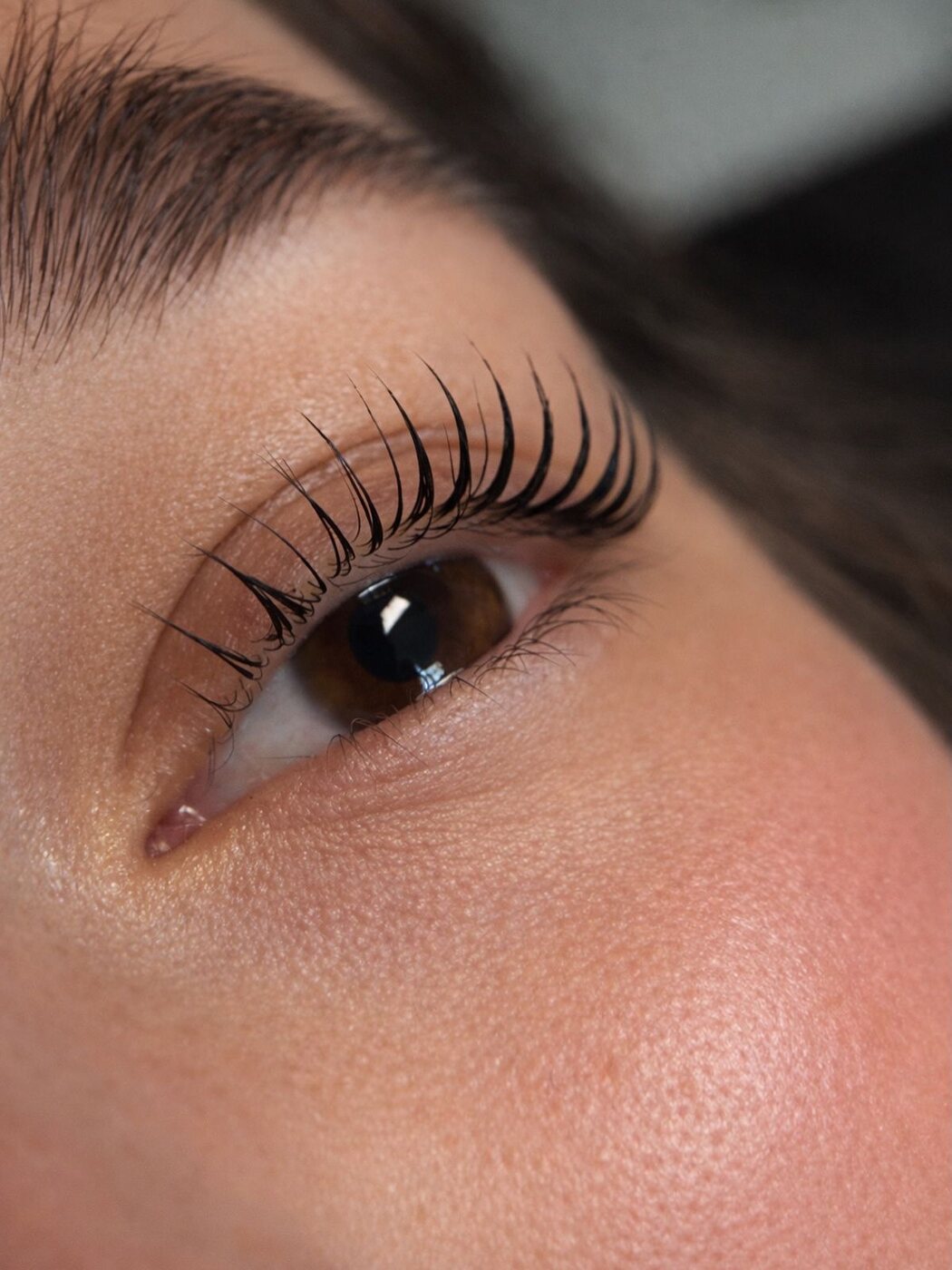 Lashes & Brows — Adore Beauty Lounge