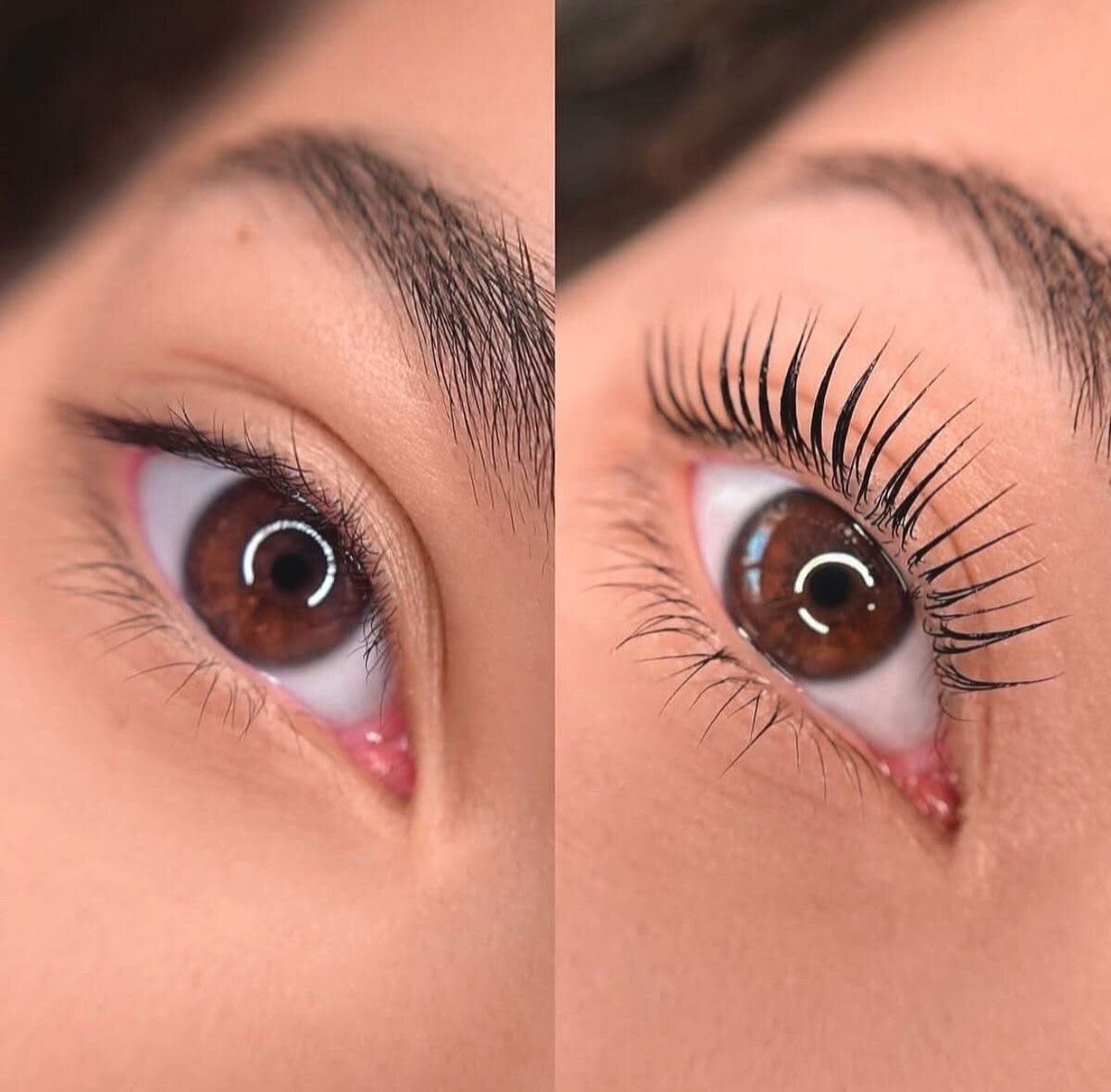 Lashes & Brows — Adore Beauty Lounge