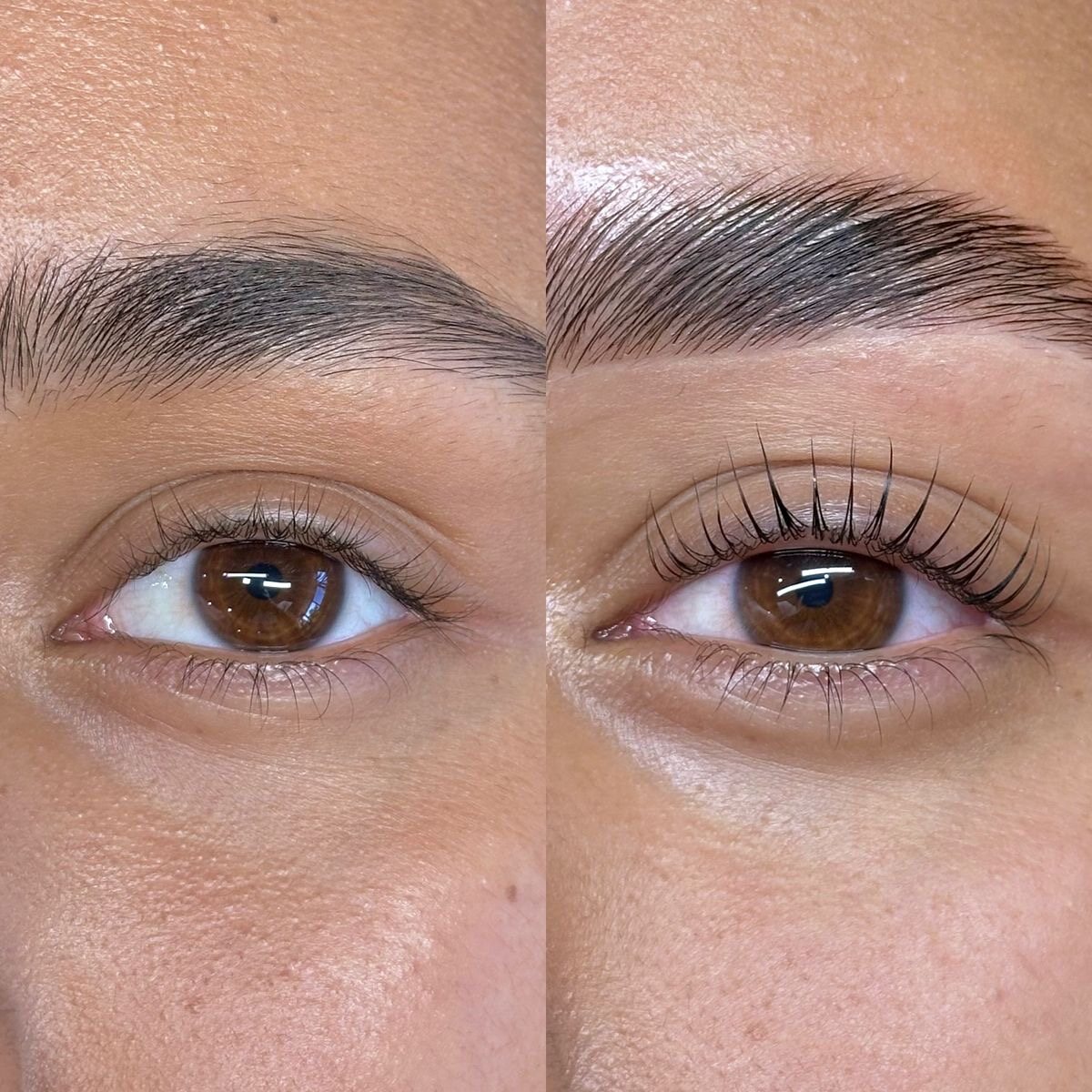 Lashes & Brows — Adore Beauty Lounge